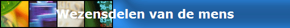 Wezensdelen van de mens